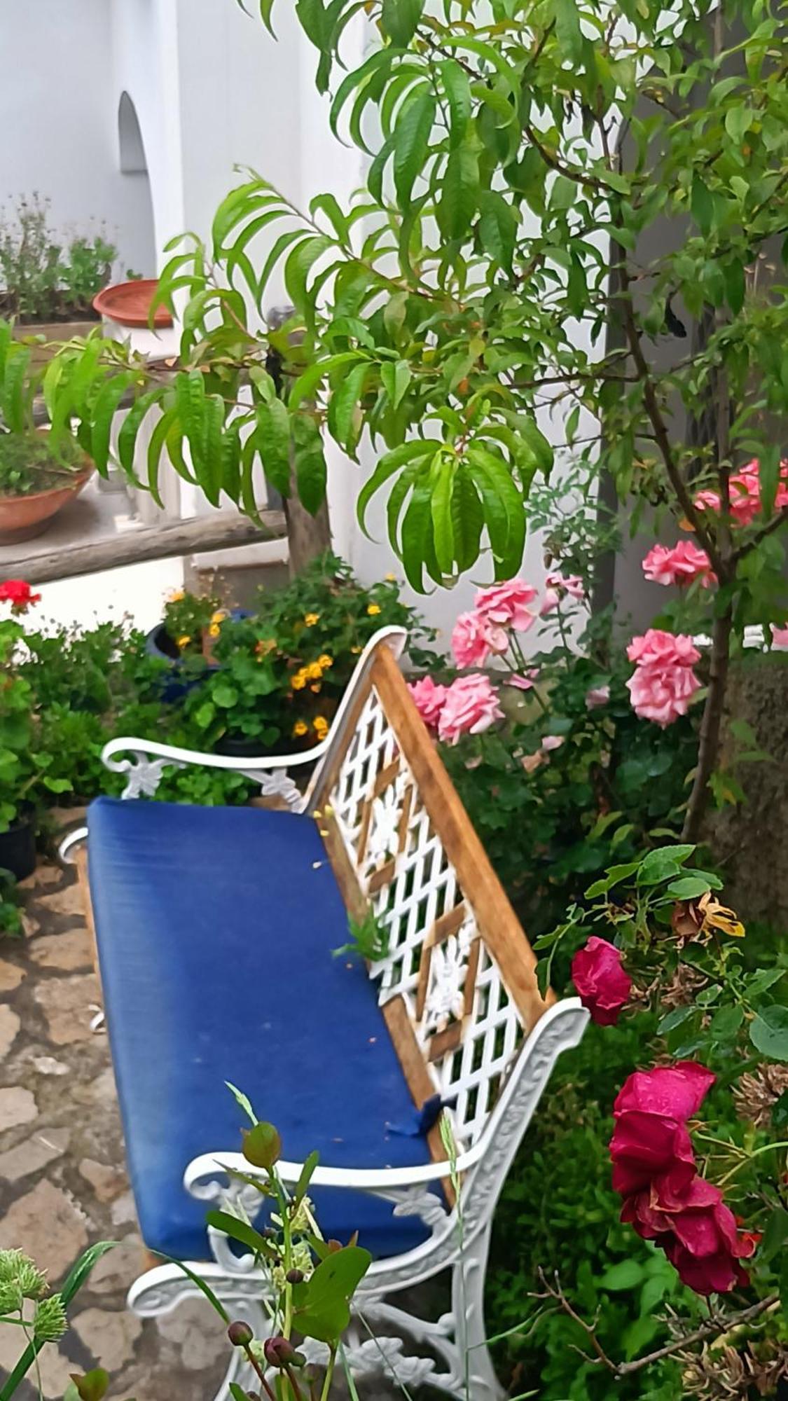 Villa Antica Macina โปซิตาโน ภายนอก รูปภาพ
